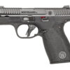 S&W BDYGRD 2.0 380ACP 2.75" 12RD NTS
