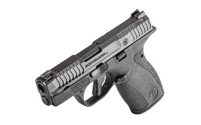 S&W BDYGRD 2.0 380ACP 2.75" 12RD NTS