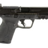 SW14099_2.jpg S&W M&P M2.0 9MM 4" 10RD MS OR BLK