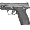 SW14192_1.jpg S&W M&P BDYGRD 2.0 380ACP 10RD TS