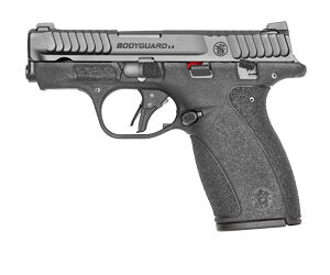 SW14192_1.jpg S&W M&P BDYGRD 2.0 380ACP 10RD TS