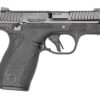 SW14192_2.jpg S&W M&P BDYGRD 2.0 380ACP 10RD TS