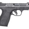 S&W BODYGRD 2 CC 380ACP 3.1 12RD NTS