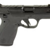 S&W BDYGRD 2.0 CC 380ACP 3.1 10RD TS