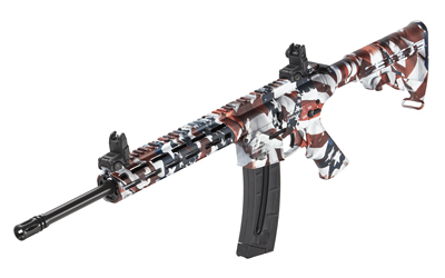 S&W M&P 15-22 SP 22LR 16.5 25RD FLAG