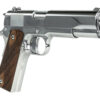 TIS10100513_1.jpg TISAS 1911A1 REGULTOR 38SUP/9MM 5"