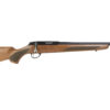 TKJRT1XH300_2.jpg TIKKA T1X HUNTER 22LR 20" WD/BLU TB