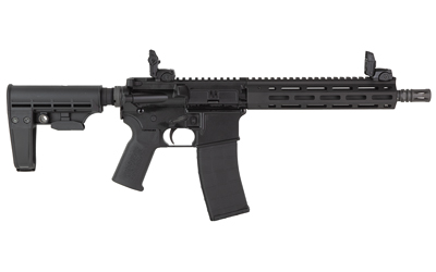 TPPA101088_2.jpg TIPPMANN M4-22 ELITE 22LR 9" BRACE