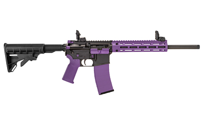 TPPA101222_1.jpg TIPPMANN M4-22 ACCENT 22LR 25RD PRP