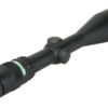 TRIJICON ACCUPOINT 2.5-10X56 GRN DOT