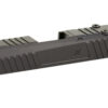 TRUE PREC DUTY SLIDE P365 RMS BLK