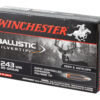 WNSBST243A_3.jpg WIN BLSTC TIP 243WIN 95GR 20/200