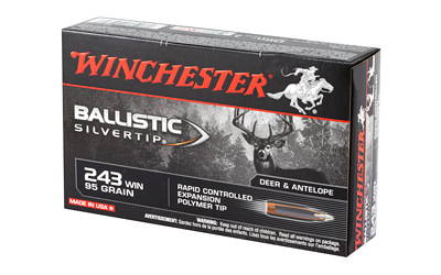 WNSBST243A_3.jpg WIN BLSTC TIP 243WIN 95GR 20/200