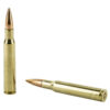 WIN USA 3006SP 147GR FMJ 20/200