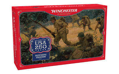 WIN USA 250TH 45ACP 230GR FMJ 50/300