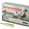 WNX243DS_1.jpg WIN DEER SEASON 243WIN 95GR 20/200