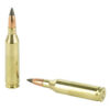 WNX243DS_4.jpg WIN DEER SEASON 243WIN 95GR 20/200