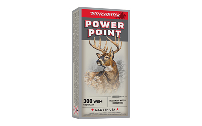 WNX300WSM_1.jpg WIN SPRX PWR PNT 300WSM 180GR 20/200