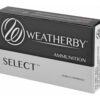 WBY AMMO 300WBY 165GR HRNDY INTER