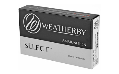 WBY AMMO 300WBY 165GR HRNDY INTER