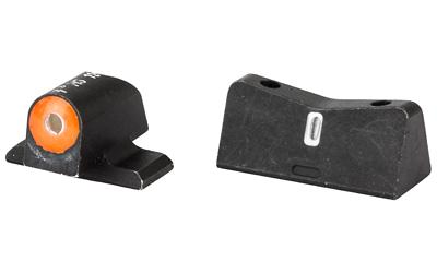 XSSSI-0013S-5N_2.jpg XS DXT2 BIG DOT SIG P226/P320/XD ORG