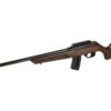 ROSSI RS22 22WMR 21" 10RD WOOD
