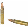 FIOCCHI 223REM 55GR PSP 50/500