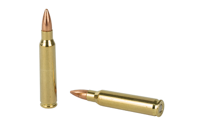 F223C_4.jpg FIOCCHI 223REM 62GR FMJBT 50/1000