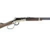 HENRY H4 GLDN BOY SLVR LL 22LR 20"