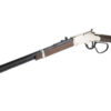 HENRY H4 GLDN BOY SLVR LL 22LR 20"