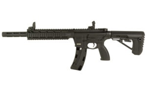 RETRA1522-BLK-QUAD-10_1.jpg RETAY RA1522 22LR 16" 10RD QUAD BLK