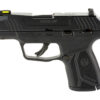 RUGER MAX-9 9MM 3.2" 10RD TS BLK CA