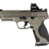 S&W M&P M2.0 9MM 4.25" 17RD HOLO GRY