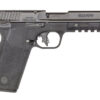 S&W M&P 22WMR 4.35" OR MS 10RD BLK