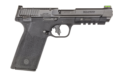 S&W M&P 22WMR 4.35" OR MS 10RD BLK