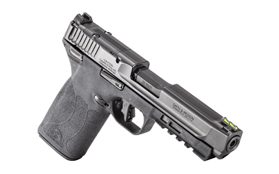 S&W M&P 22WMR 4.35" OR MS 10RD BLK