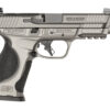 S&W M&P M2.0 METL OR TB 9MM 17RD GRY