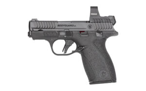 SW14785_1.jpg S&W BDYGRD 2.0 RFX1 380ACP 12RD TS