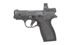 SW14786_1.jpg S&W BDYGRD 2.0 RFX1 380ACP 12RD NTS