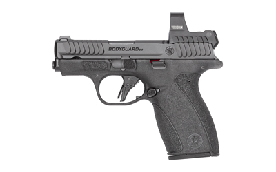 S&W BDYGRD 2.0 RFX1 380ACP 12RD NTS