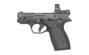 SW14787_1.jpg S&W BDYGRD 2.0 RFX1 380ACP 10RD TS
