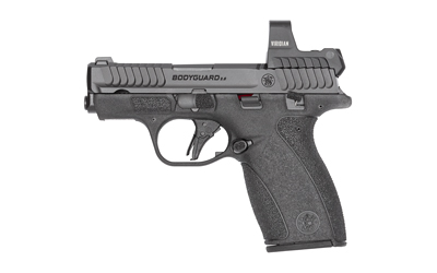 S&W BDYGRD 2.0 RFX1 380ACP 10RD TS