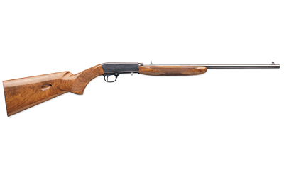 BRN SA GRI S 22LR 19.37" 10RD WLNT