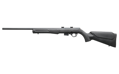 BRZRB17H2111_1.jpg ROSSI RB17 17HMR 21" 5RD BLK