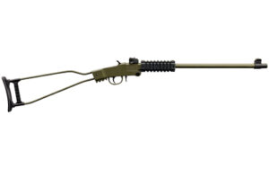 CHIAPPA LITTLE BADGER 22LR 16.5" GR