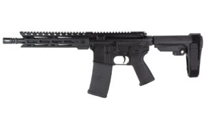 DBF DB15 556 10" MLOK 30RD BLK BRACE
