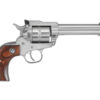 RUGER SNGL-TEN 22LR 5.5" STN 10RD AS
