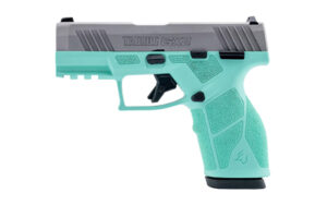 TI1-GX2939C-10_1.jpg TAURUS GX2 9MM 3.38" 10RD STS/CYN MS