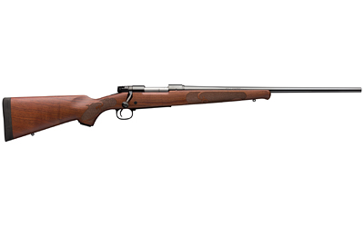 WN535200212_2.jpg WIN M70 FTHWT 243WIN 22" BLK WLNT