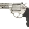 CHARTER ARMS PTHFNDR II 22WMR 8RD SS